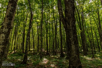 Pictured Rocks - Chapel Falls to Mosquito Falls hike