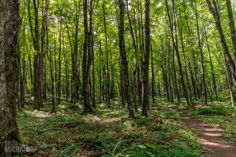 Pictured Rocks - Chapel Falls to Mosquito Falls hike
