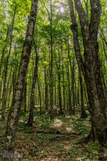 Pictured Rocks - Chapel Falls to Mosquito Falls hike