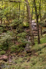 Pictured Rocks - Chapel Falls to Mosquito Falls hike