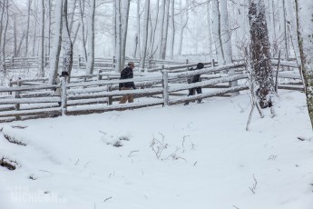 Pictured Rocks Snowshoe - U.P. Winter - 2014 -19