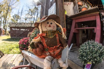 Pioneer Day - Waterloo Farm Museum