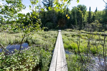 Porcupine Mountains 2014