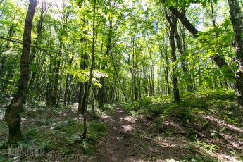 Porcupine Mountains 2014