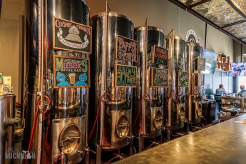 Record-Stores-Detroit-Suburbs-2023-33