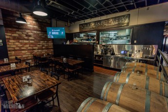 Record-Stores-Detroit-Suburbs-2023-35