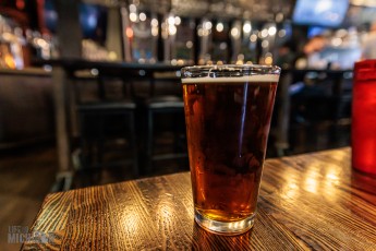 Record-Stores-Detroit-Suburbs-2023-38