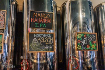 Record-Stores-Detroit-Suburbs-2023-41