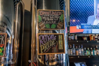 Record-Stores-Detroit-Suburbs-2023-42