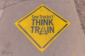 Record-Stores-Detroit-Suburbs-2023-43