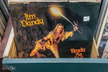 Record-Stores-Detroit-Suburbs-2023-70