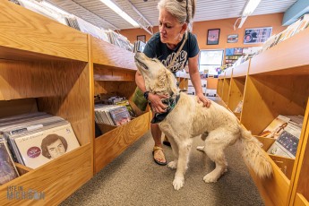 Record-Stores-Traverse-City-2023-15