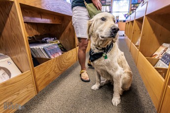 Record-Stores-Traverse-City-2023-16