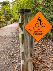 Record-Stores-Traverse-City-2023-7