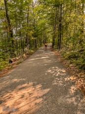 Record-Stores-Traverse-City-2023-8
