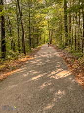 Record-Stores-Traverse-City-2023-9
