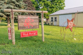 Red-Horse-Center-Fennville-2024-53