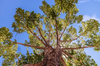 Route66-Campervan-Adventure-237