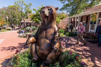 Route66-Campervan-Adventure-258