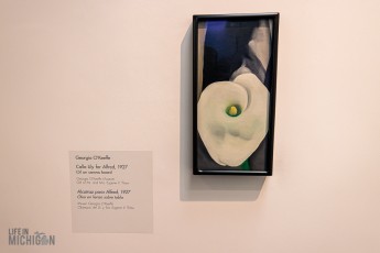 Route66-Campervan-Adventure-262