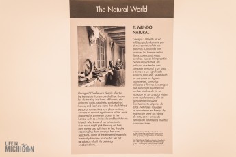 Route66-Campervan-Adventure-278