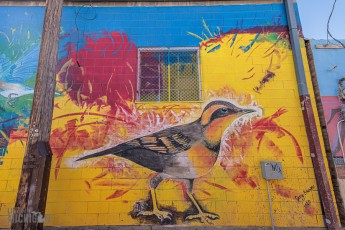 Route66-Campervan-Adventure-336