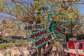 Route66-Campervan-Adventure-8