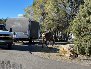 ROUTE-66-NATIONAL-PARKS-AND-MONUMENTS-2022-177