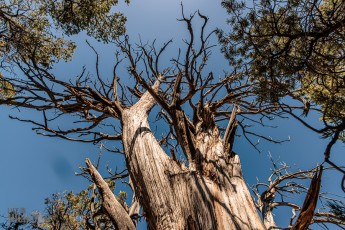 Route66-National-Parks-and-Monuments-103