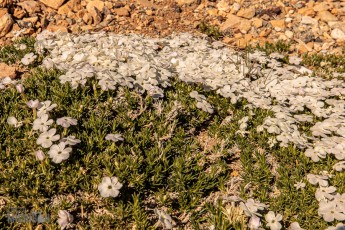 Route66-National-Parks-and-Monuments-118