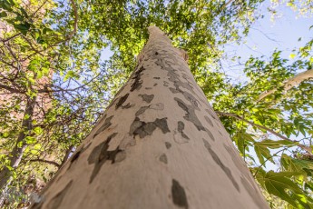 Route66-National-Parks-and-Monuments-166