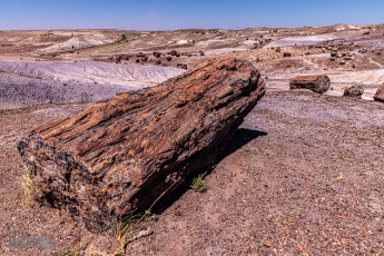 Route66-National-Parks-and-Monuments-58