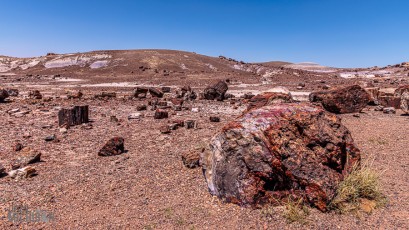 Route66-National-Parks-and-Monuments-62