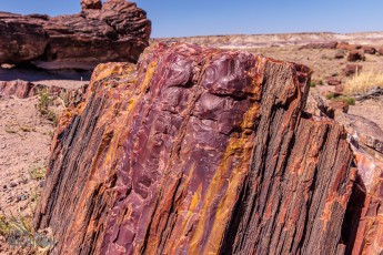 Route66-National-Parks-and-Monuments-64