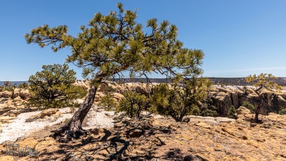 Route66-National-Parks-and-Monuments-81