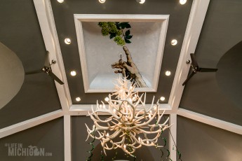 Salt Springs Brewing - 2016-23