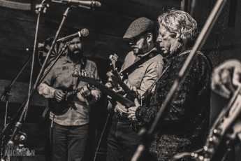 SaveTheSpeakeasy-ChrisBuhalis-CarpenterAnts-2024-54