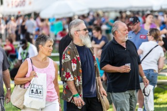 Summer Beer Festival 2015 -178