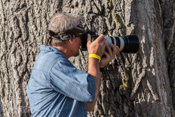 Summer Beer Festival 2015 -188