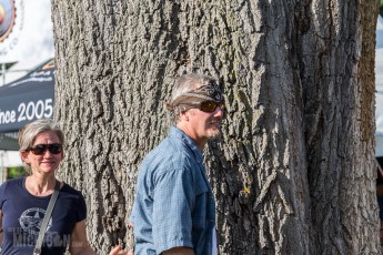 Summer Beer Festival 2015 -189