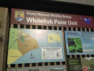 Whitefish Point bird sanctuary