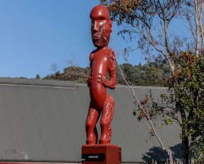 Te-Puia-New-Zealand-22