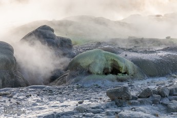 Te-Puia-New-Zealand-28