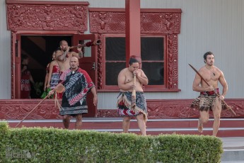 Te-Puia-New-Zealand-36