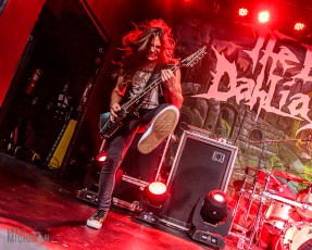 The-Black-Dahlia-Murder-2021-6