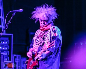 Melvins - Majestic