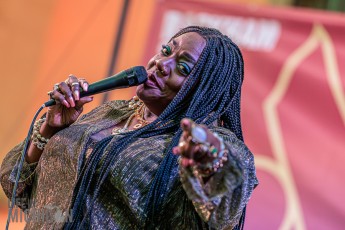 Thornetta Davis - Top of the Park 2024