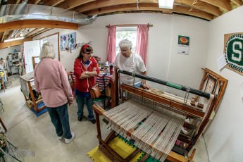 Tompkins-Freedom-Festival-102