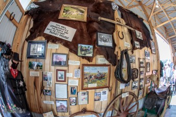 Tompkins-Freedom-Festival-106