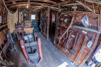 Tompkins-Freedom-Festival-108